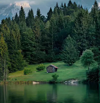 Vienna Forest S